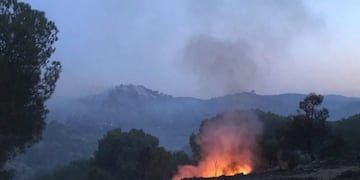 Incendio Forestal - El Hoyo