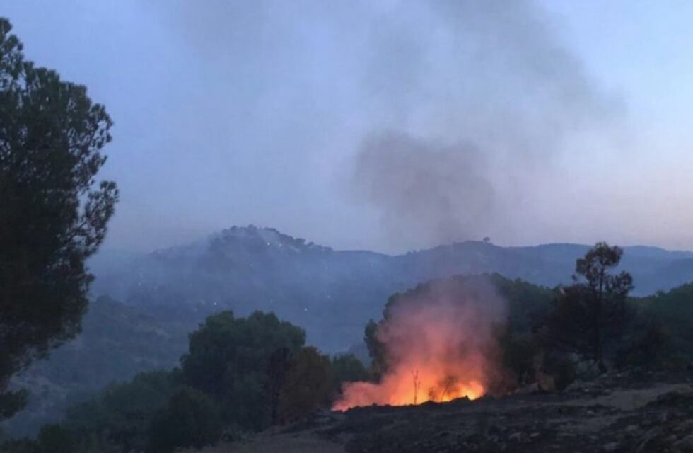 Incendio forestal en El Hoyo, una hectárea fue la zona afectada