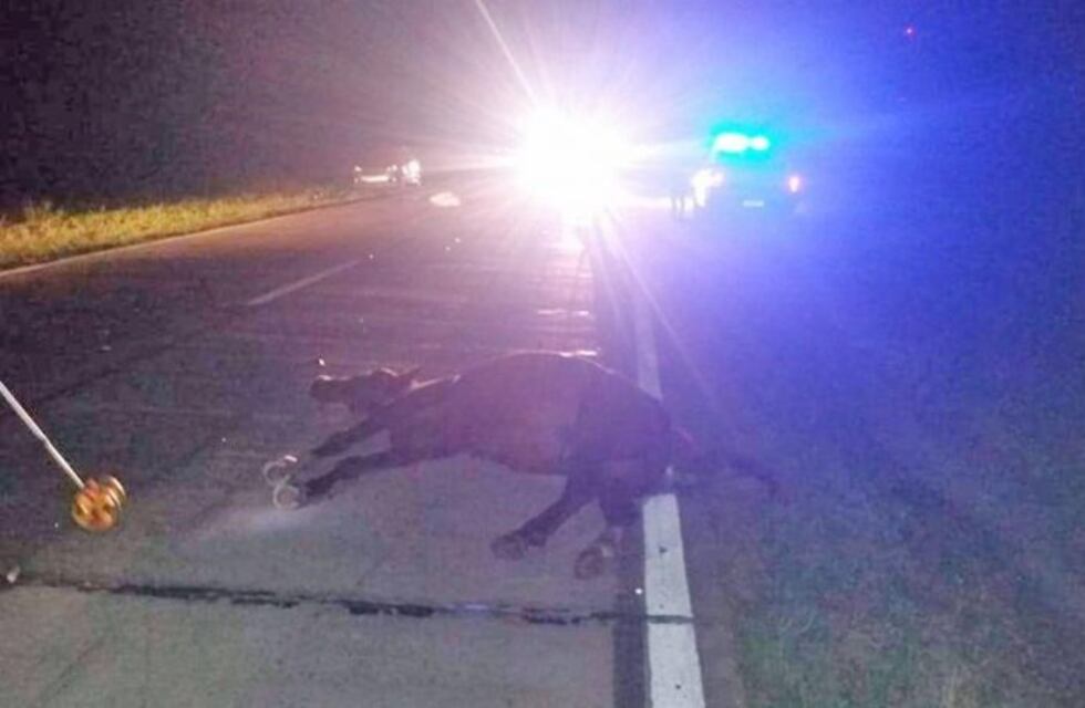 Un peregrino volvía de Catamarca, chocó con un caballo y murió