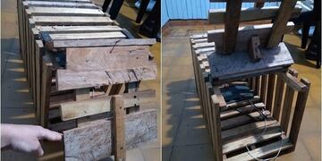 Las trampas eran cargadas con pollo para atraer a las mascotas\u002E