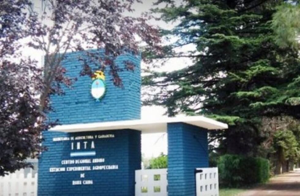 Entraron a robar al predio del INTA y se llevaron hasta el inodoro del baño