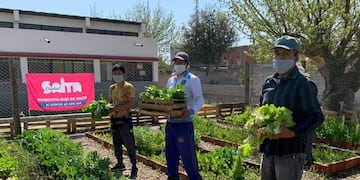 La huerta comunitaria del CIC de Constitución vio su primera cosecha (Municipalidad de Salta)