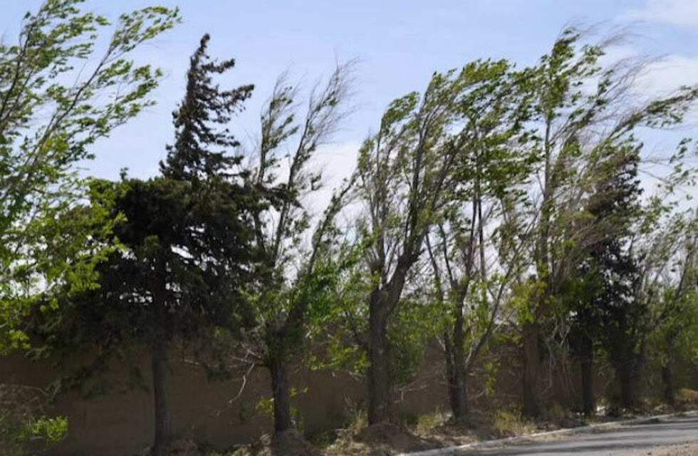 Riesgo extremo de incendios en todo el territorio provincial