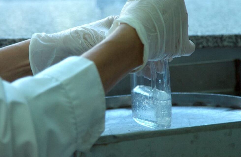 El INTA Rafaela elaborará alcohol en gel y lo repartirá en instituciones oficiales