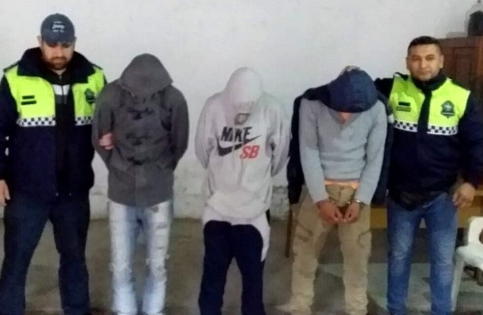 Desarman una banda que se dedicaba a robar escuelas en Alberdi