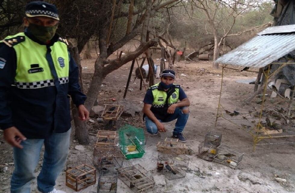 Recuperaron aves en Timbo Nuevo