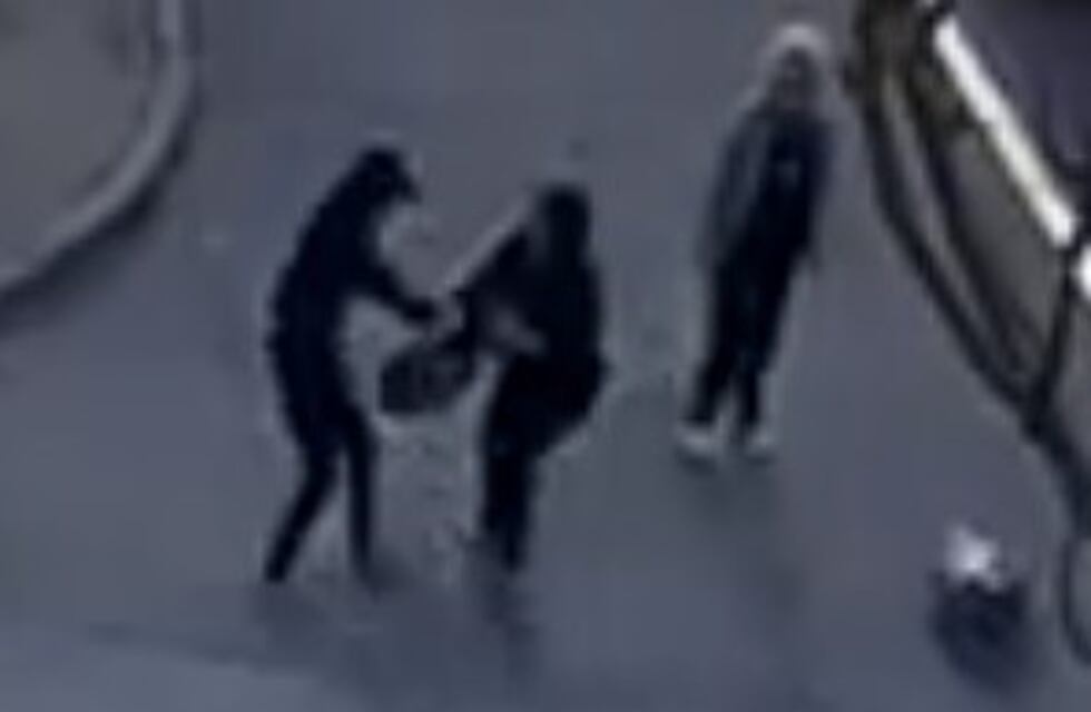 Quedó registrado el momento en que una mujer resiste como puede el ataque de un asaltante