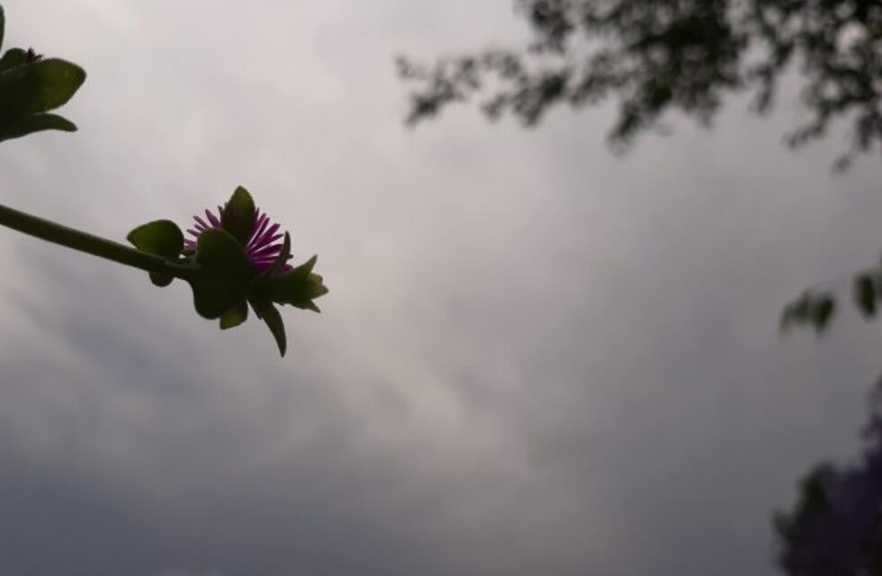 Lunes inestable por la tarde en San Luis