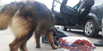 El secuestro de marihuana\u002E