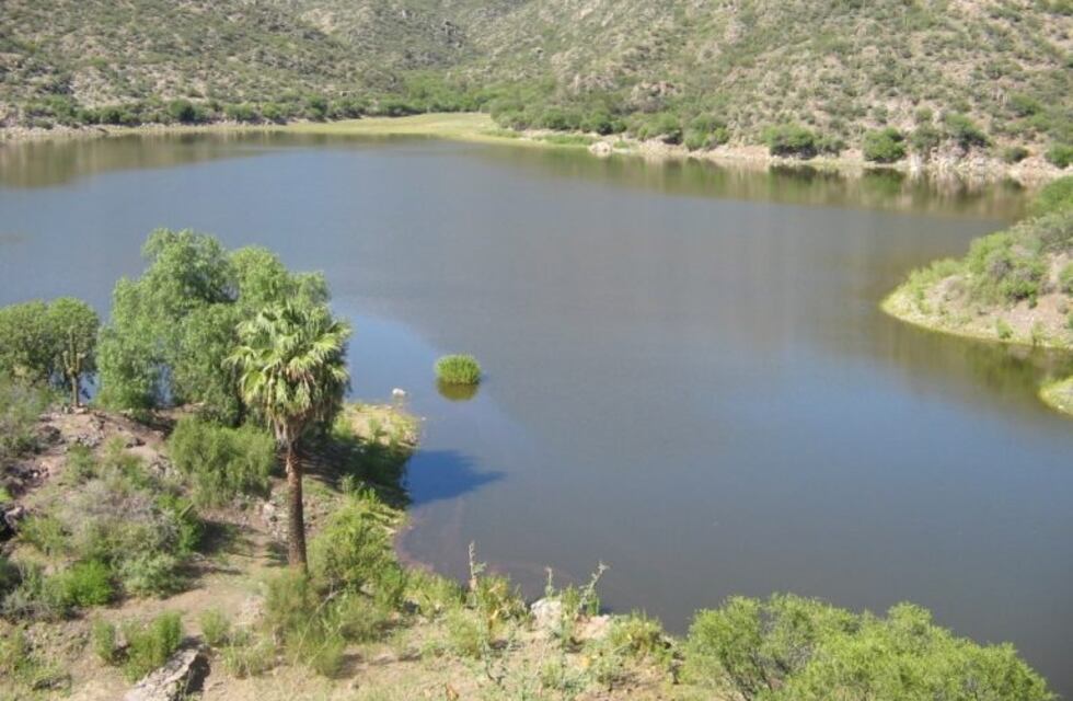 Por una vaca, detuvieron a tres riojanos que intentaron ingresar ilegalmente a San Juan