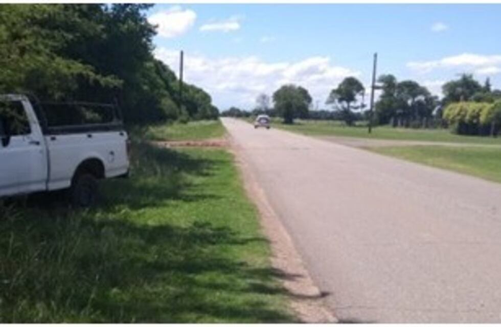 Conductor con traumatismo de cráneo tras colisionar con un árbol