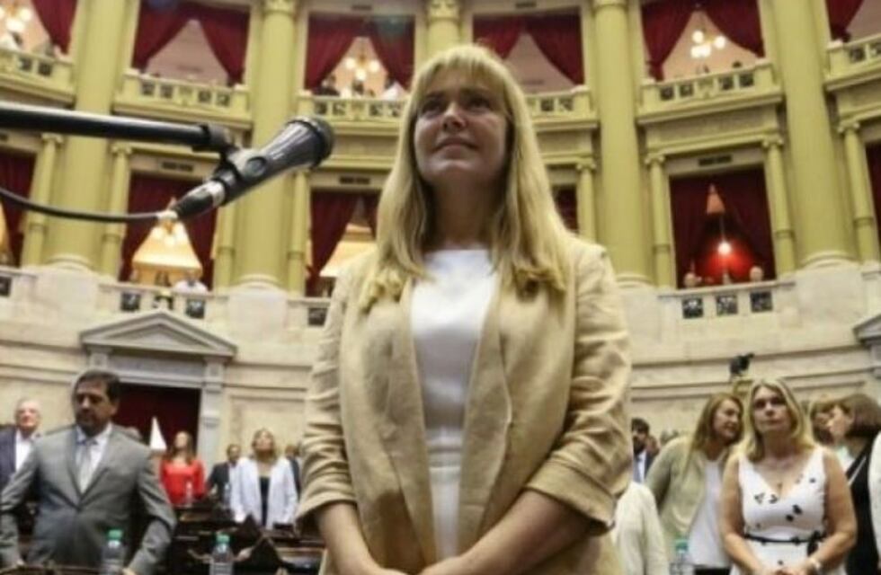 Estela Regidor presentó un proyecto para facilitar la adopción temprana