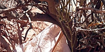 Encontraron restos óseos humanos en una bolsa de arpillera