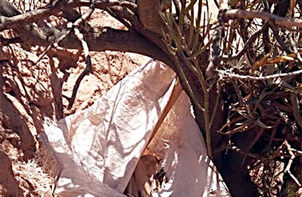Encontraron restos óseos humanos en una bolsa de arpillera