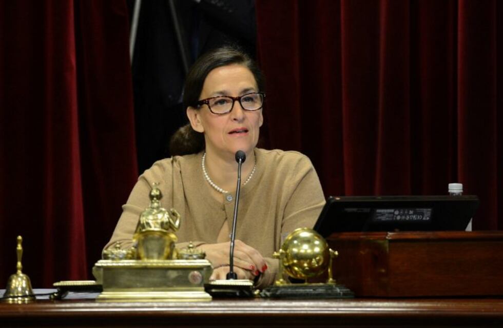 Declaró el contador de Gabriela Michetti por el origen del dinero robado