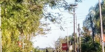 El soleado domingo fue escenario ideal para las salidas recreativas\u002E