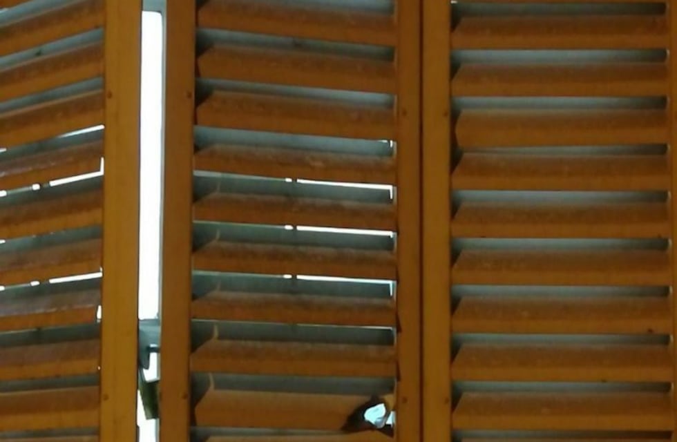 Prisión preventiva para una joven detenida acusada de integrar la banda que baleó la sede de Fiscalía