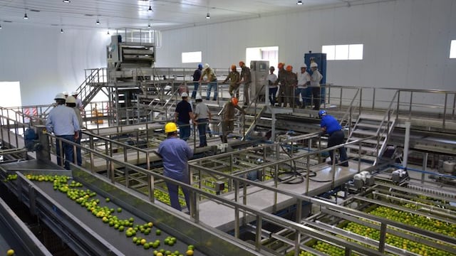 Planta de cítricos de Ledesma, en Jujuy