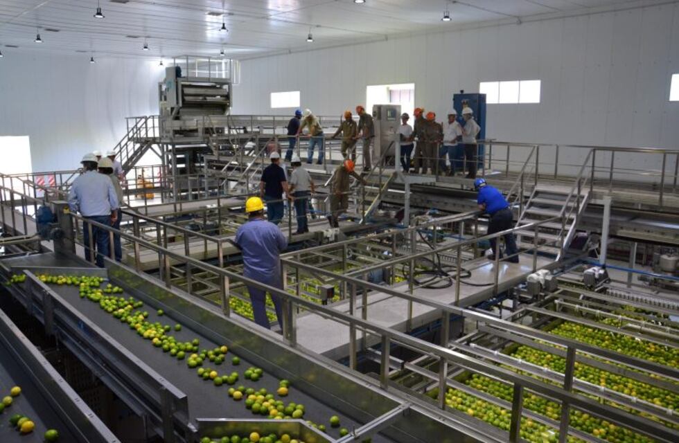 2019, el año en que limones jujeños llegaron a Estados Unidos