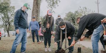 Realizan plantación masiva de árboles en Cerro Corá.