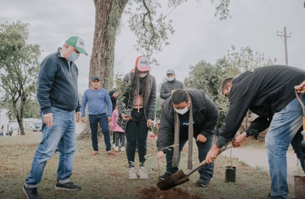 Realizan plantación masiva de árboles en Cerro Corá