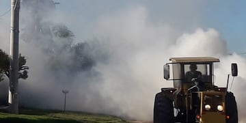 El Municipio de Arroyito sigue fumigando contra el dengue