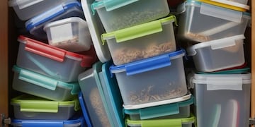 Chau caos de tuppers: el accesorio que ordena la cocina y también suma estilo