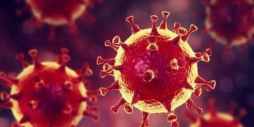 Coronavirus