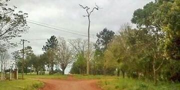 Sufrió un ataque a cuchilladas en Colonia Oasis e intenta sobrevivir