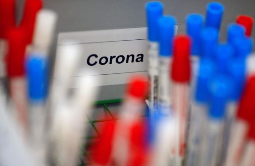 Malvinas: llegaron 28 resultados de pruebas de coronavirus del Reino Unido y todos son negativos