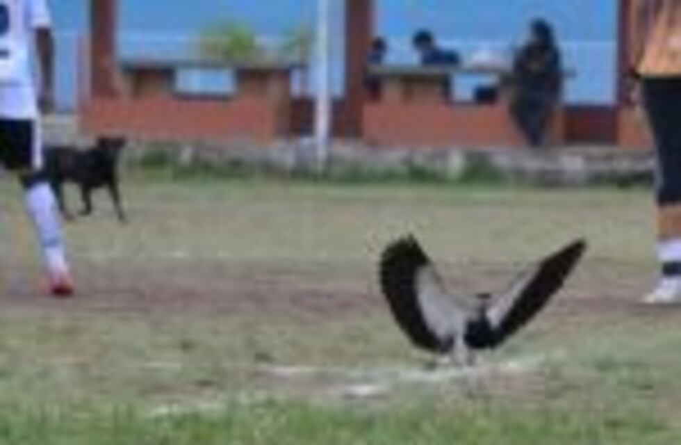 37 clubes de barrio de Córdoba recibirán subsidios nacionales