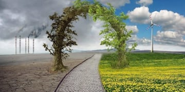 Problemas medioambientales