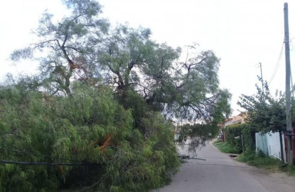 El fuerte temporal de viento en Villa de Merlo provocó destrozos