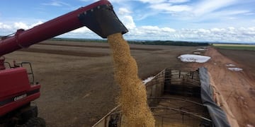 A truck is loaded with soybeans at a farm in Porto Nacional, Tocantins state, Brazil March 24, 2018\u002E Picture taken March 24, 2018\u002E REUTERS/Roberto Samora brasil brasil cosecha de soja