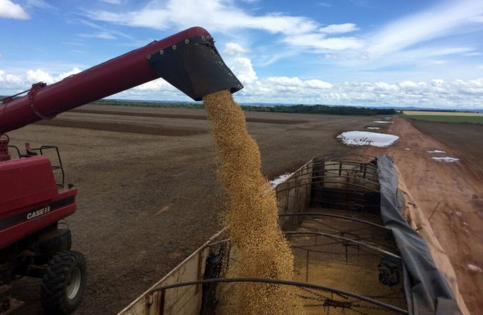 Las lluvias "beneficiaron" a zonas agrícolas y ganaderas de Chaco