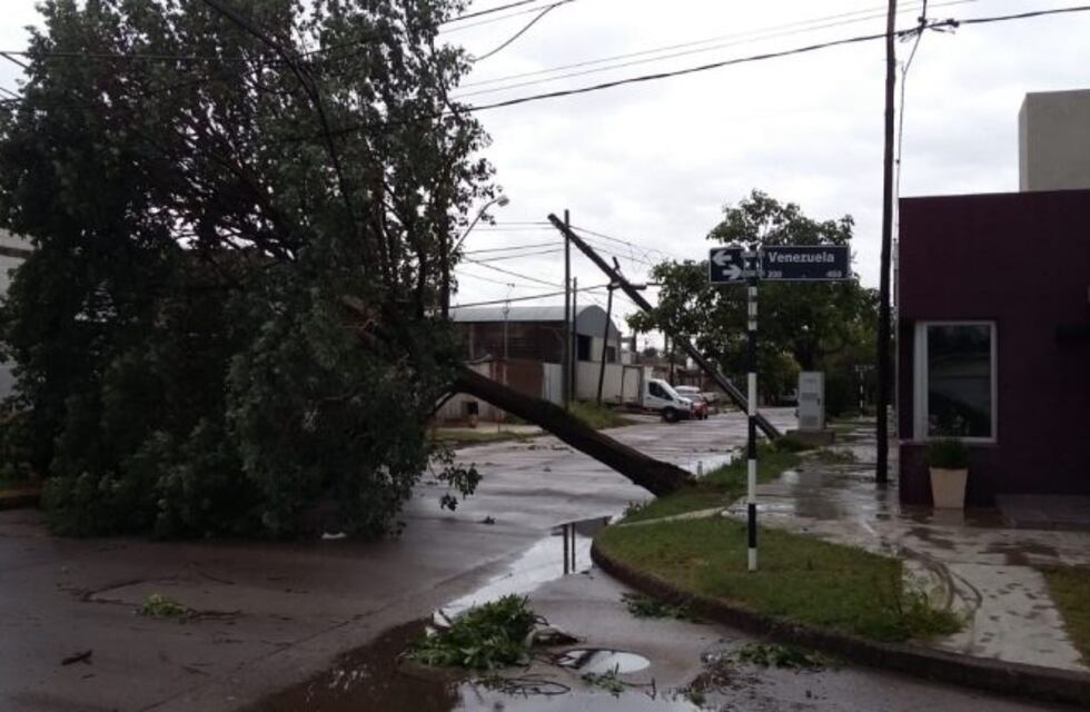 Las fotos de la tormenta en San Francisco: árboles caídos y edificios dañados