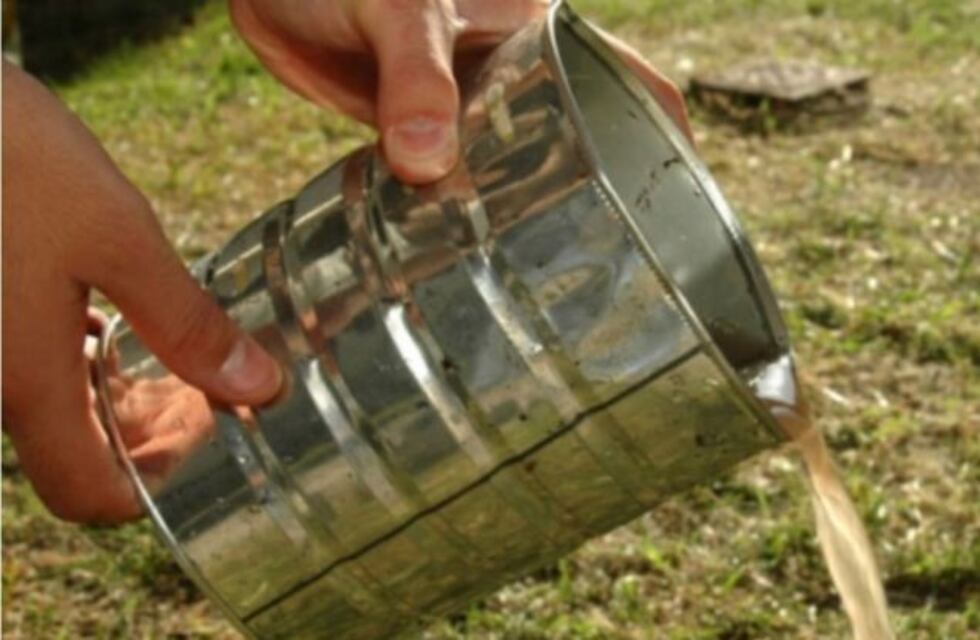 La descacharrización es la mejor forma para evitar la proliferación de mosquitos