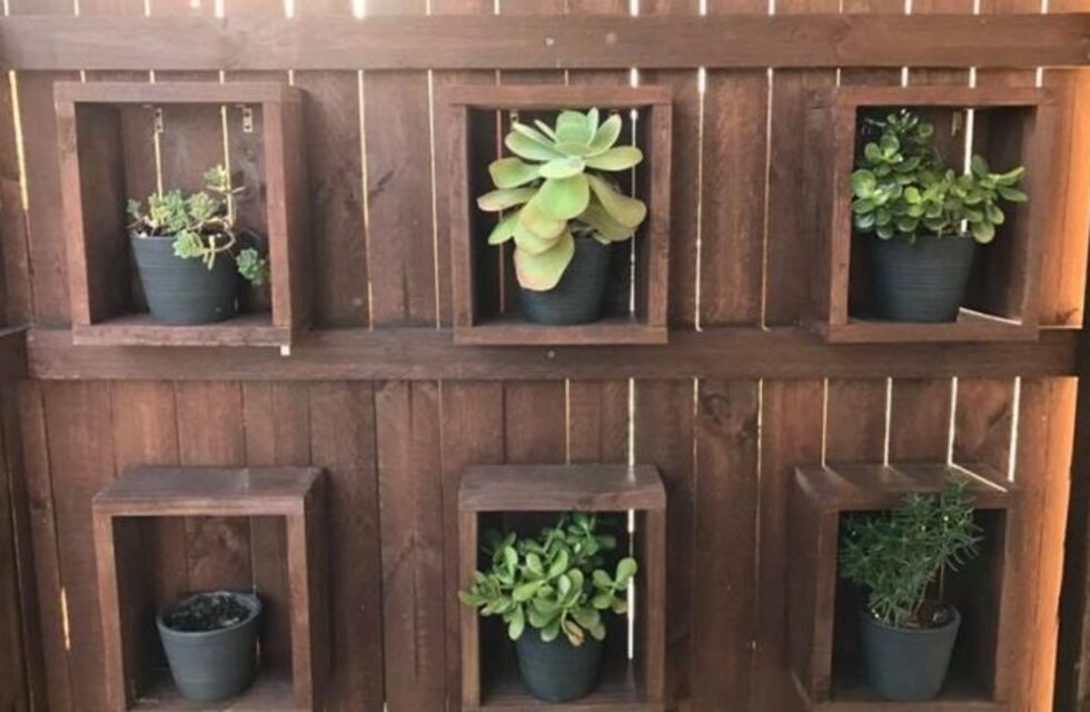 ¿Podés ver a la serpiente de dos metros escondida en la foto?