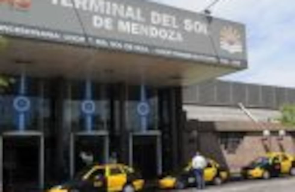 Secuestraron 20 kilos de marihuana en la Terminal