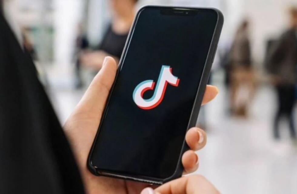 Una menor compartió en TikTok imágenes de los abusos sufridos por su hermana de 14 años