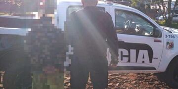 El ladrón cortaba los cables del tendido eléctrico a plena luz del día\u002E