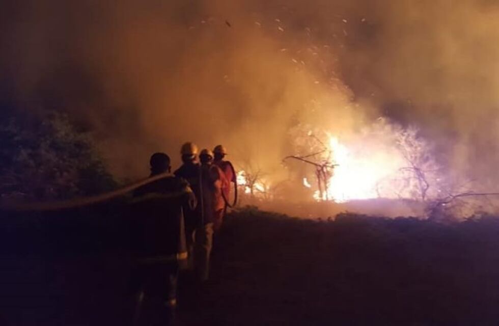 Los incendios en el norte salteño ponen el peligro al bosque nativo