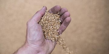 El campo y el cambio climático\u002E (BLOOMBERG)