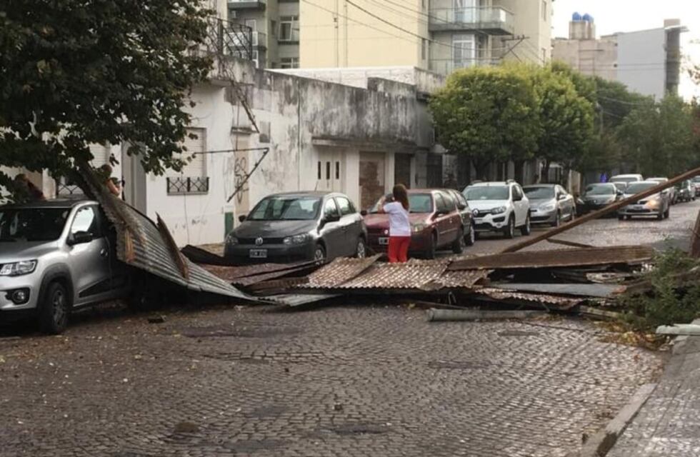 Fuerte temporal de viento voló techos y dejó árboles y columnas en el suelo