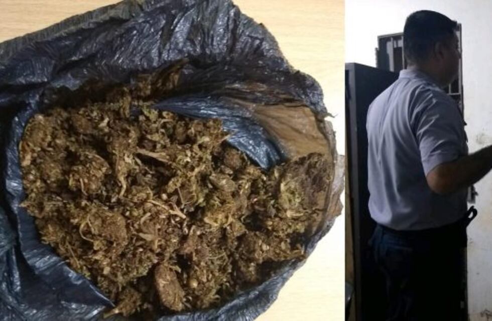 Intentaba esconder marihuana entre unos árboles pero la Policía lo descubrió