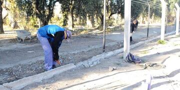 Sin límites: ahora se robaron el cierre perimetral de una cancha