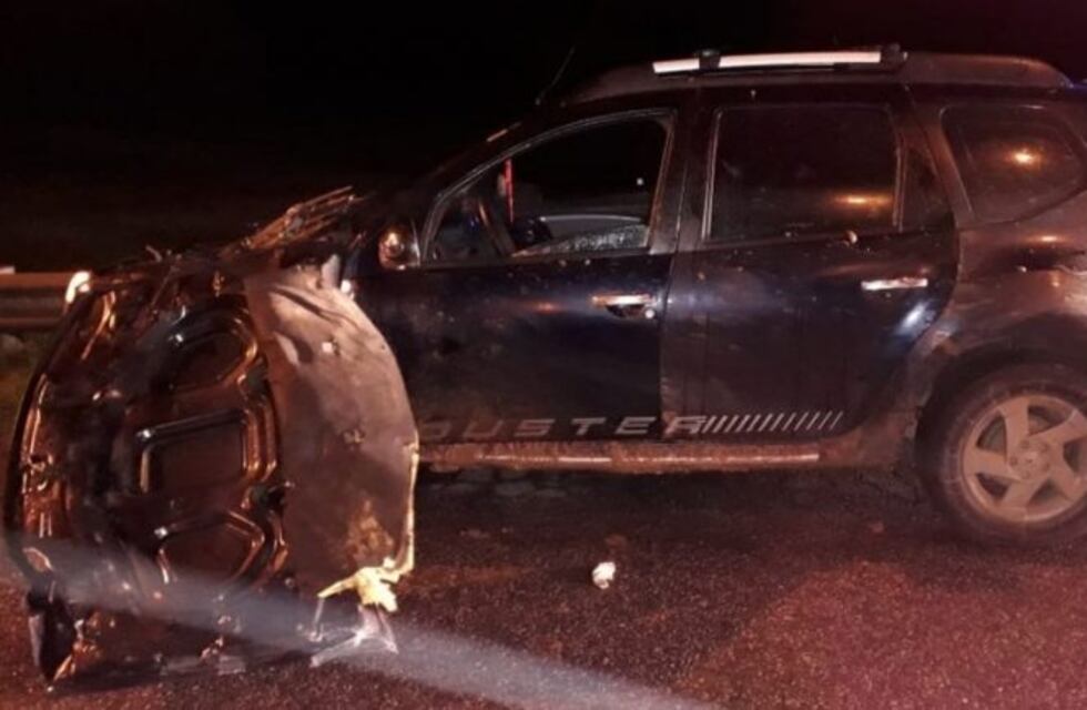 Atropelló y mató a un "tira piedras" en la Panamericana