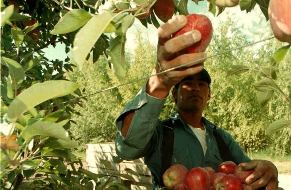 Entró en vigencia la obligatoriedad de las Buenas Prácticas Agrícolas para producir y comerciar frutas