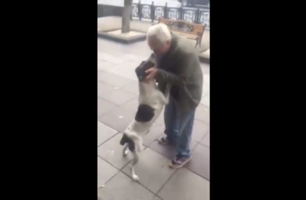 El emocionante reencuentro de un perro y su dueño luego de tres años