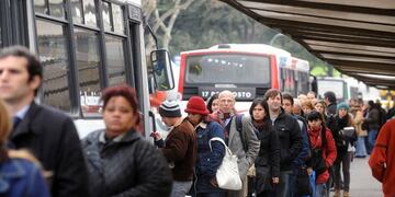 Cómo funcionarán los colectivos el domingo de las PASO en Mar del Plata